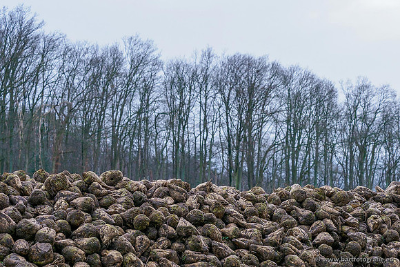 Limburg december 2020 Bart Fotografie-110