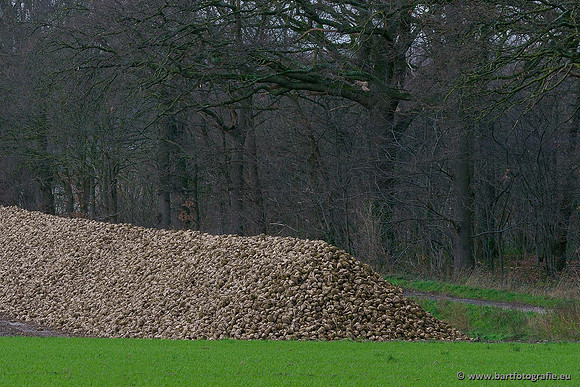 Limburg december 2020 Bart Fotografie-108