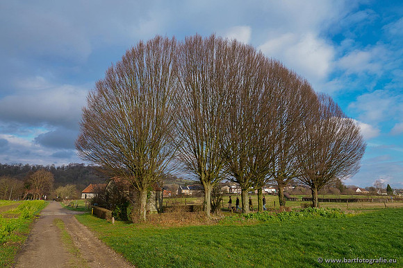 Limburg december 2020 Bart Fotografie-111