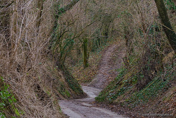 Limburg december 2020 Bart Fotografie-112