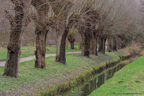 Limburg december 2020 Bart Fotografie-113