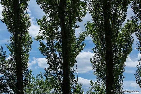 Akker en Weide Bart Fotografie-005