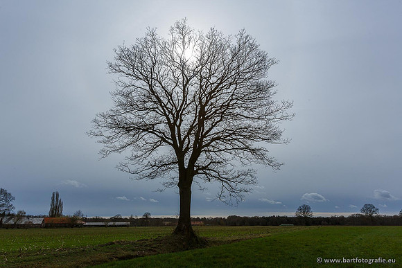 Akker en Weide Bart Fotografie-004