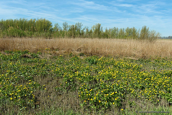 Akker en Weide Bart Fotografie-007
