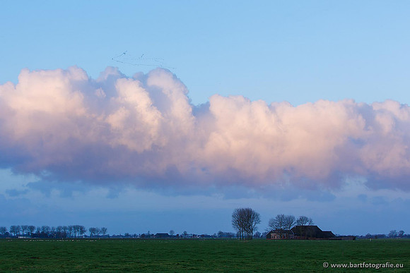 Akker en Weide Bart Fotografie-009