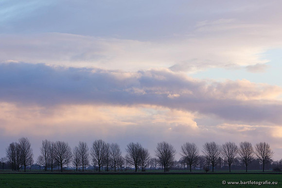 Akker en Weide Bart Fotografie-010