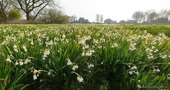 Akker en Weide Bart Fotografie-012