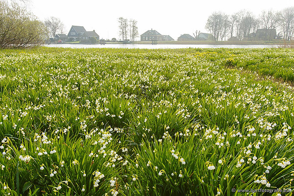Akker en Weide Bart Fotografie-015