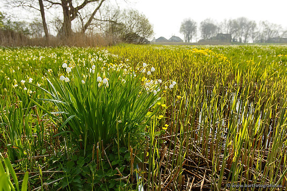 Akker en Weide Bart Fotografie-017