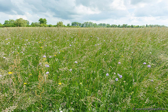 Akker en Weide Bart Fotografie-021