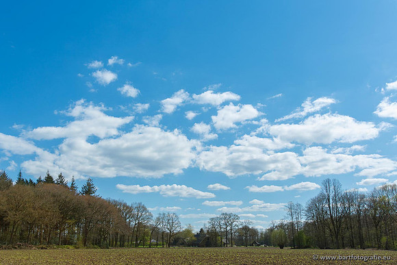 Akker en Weide Bart Fotografie-064