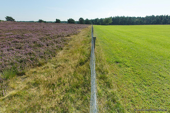 Akker en Weide Bart Fotografie-065
