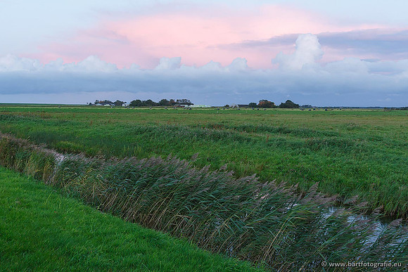 Akker en Weide Bart Fotografie-066