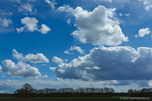 Akker en Weide Bart Fotografie-069