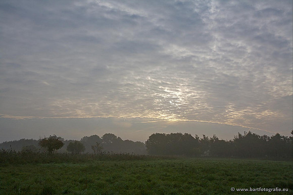 Akker en Weide Bart Fotografie-071
