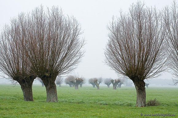 Akker en Weide Bart Fotografie-072