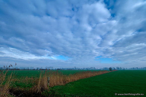 Akker en Weide Bart Fotografie-081