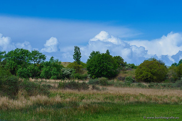 Akker en Weide Bart Fotografie-090