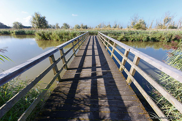 Oostvaardersplassen Bart Fotografie-002