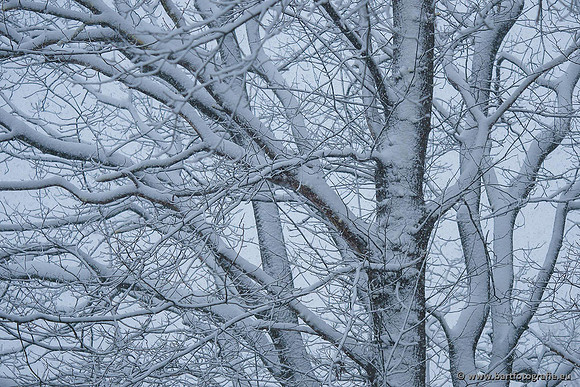 Winter Bart Fotografie-003