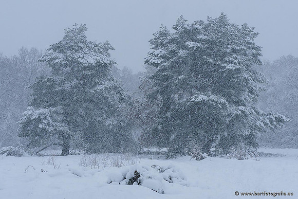 Winter Bart Fotografie-005