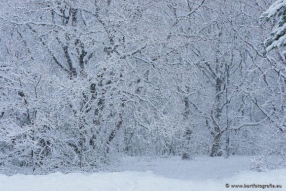 Winter Bart Fotografie-006