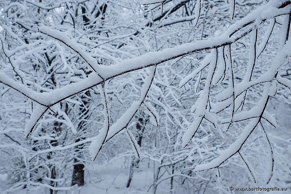 Winter Bart Fotografie-008