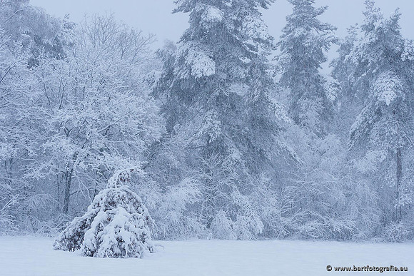 Winter Bart Fotografie-010