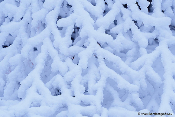 Winter Bart Fotografie-015
