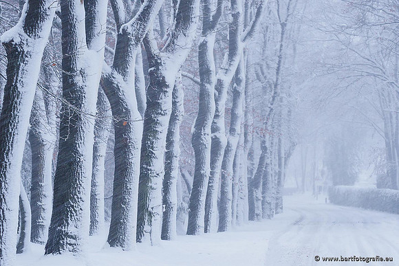 Winter Bart Fotografie-016