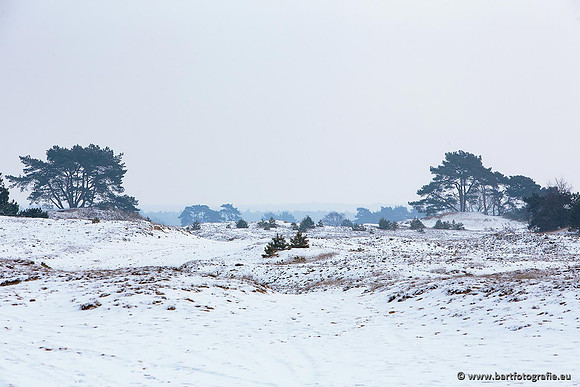 Winter Bart Fotografie-018