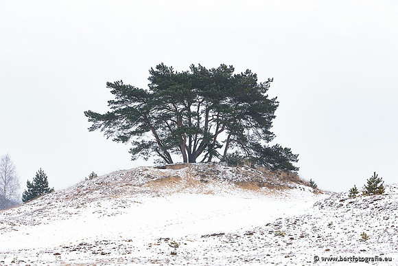 Winter Bart Fotografie-020
