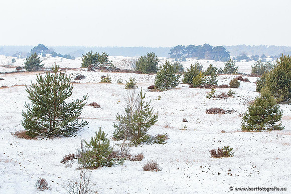 Winter Bart Fotografie-023