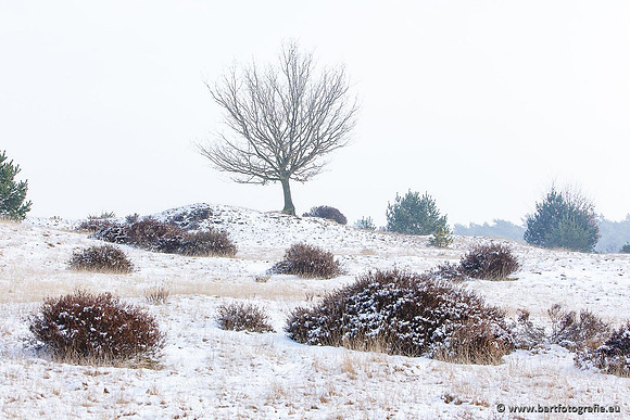 Winter Bart Fotografie-025