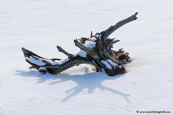 Winter Bart Fotografie-028