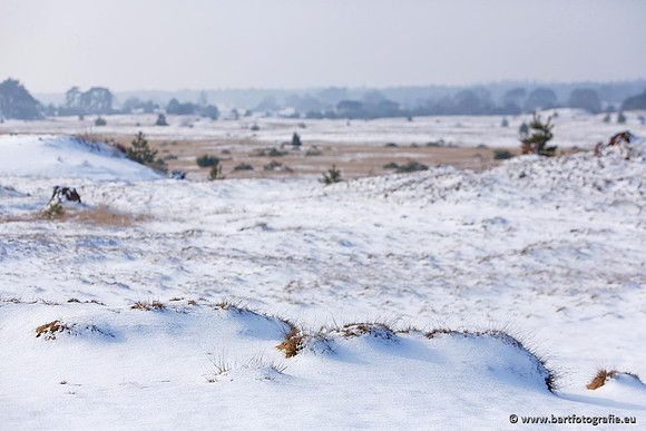 Winter Bart Fotografie-029