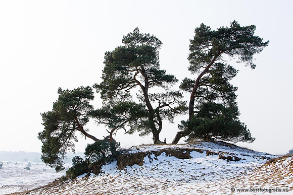 Winter Bart Fotografie-031