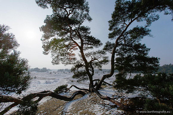 Winter Bart Fotografie-033