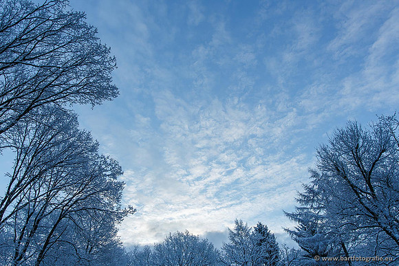 Winter Bart Fotografie-034