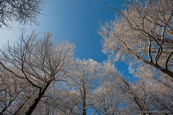 Winter Bart Fotografie-036