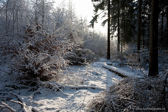 Winter Bart Fotografie-038