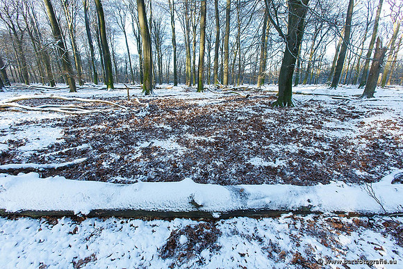 Winter Bart Fotografie-042