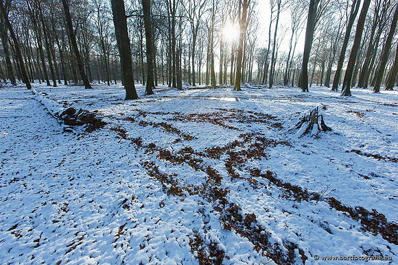 Winter Bart Fotografie-041