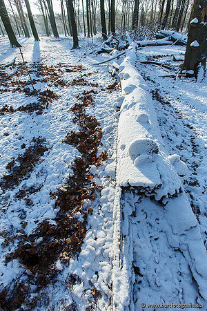 Winter Bart Fotografie-044