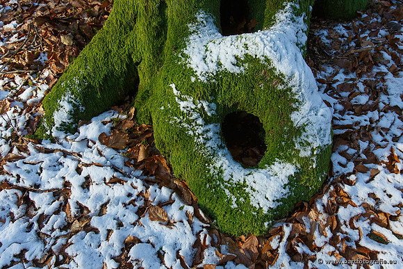 Winter Bart Fotografie-046