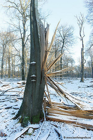 Winter Bart Fotografie-049
