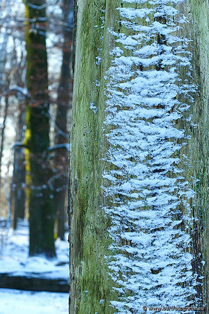 Winter Bart Fotografie-050