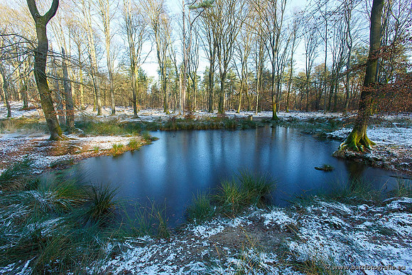 Winter Bart Fotografie-051