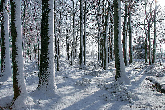 Winter Bart Fotografie-053