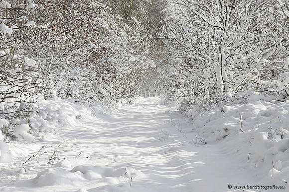 Winter Bart Fotografie-055